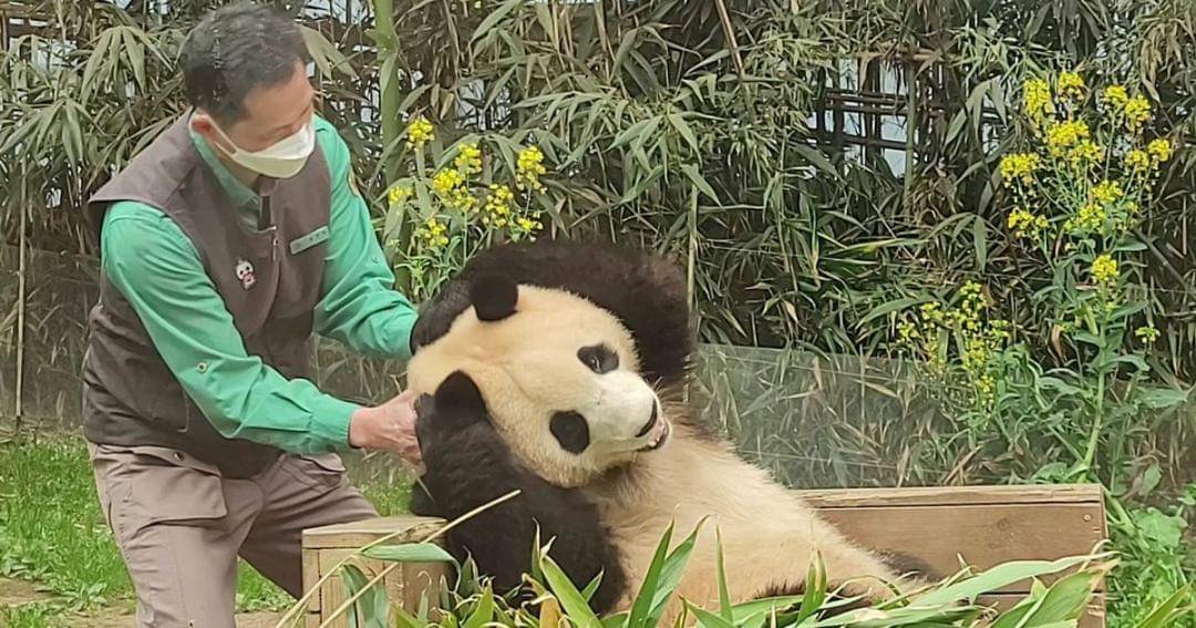 Instagram.com/fubao_012486